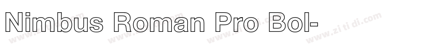Nimbus Roman Pro Bol字体转换 Nimbus Roman Pro Bol字体转换